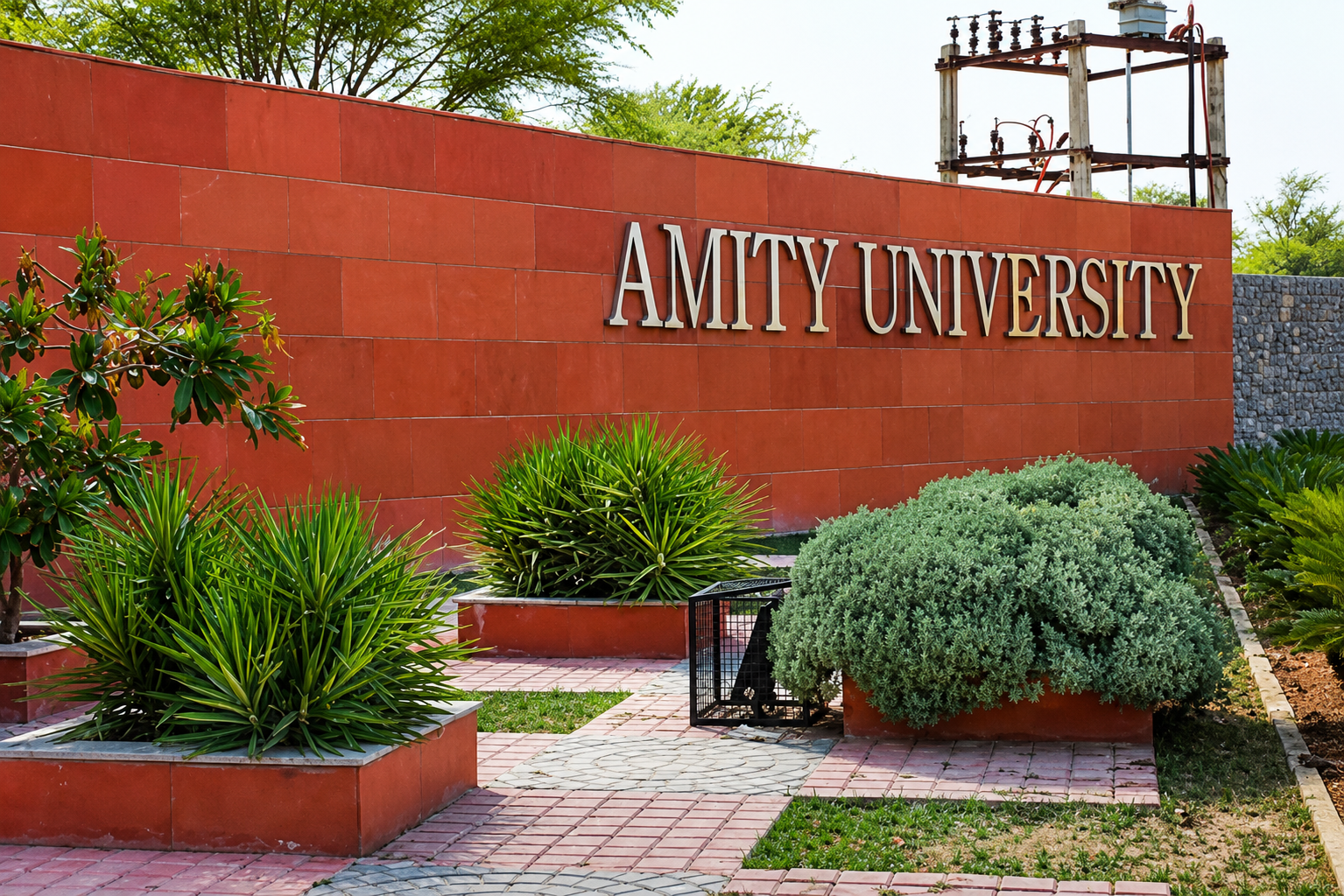 Amity University